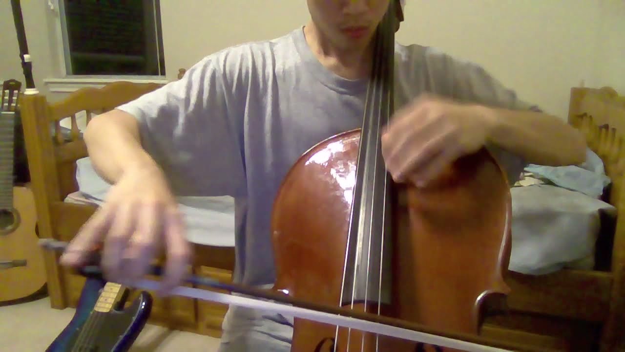 Dolphin Shoals on Cello