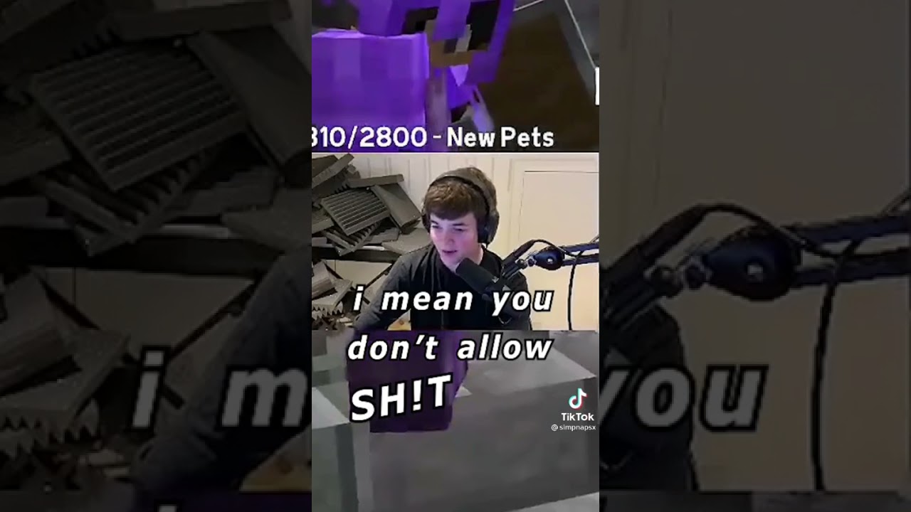 If the dreamsmp had 30 second trailers