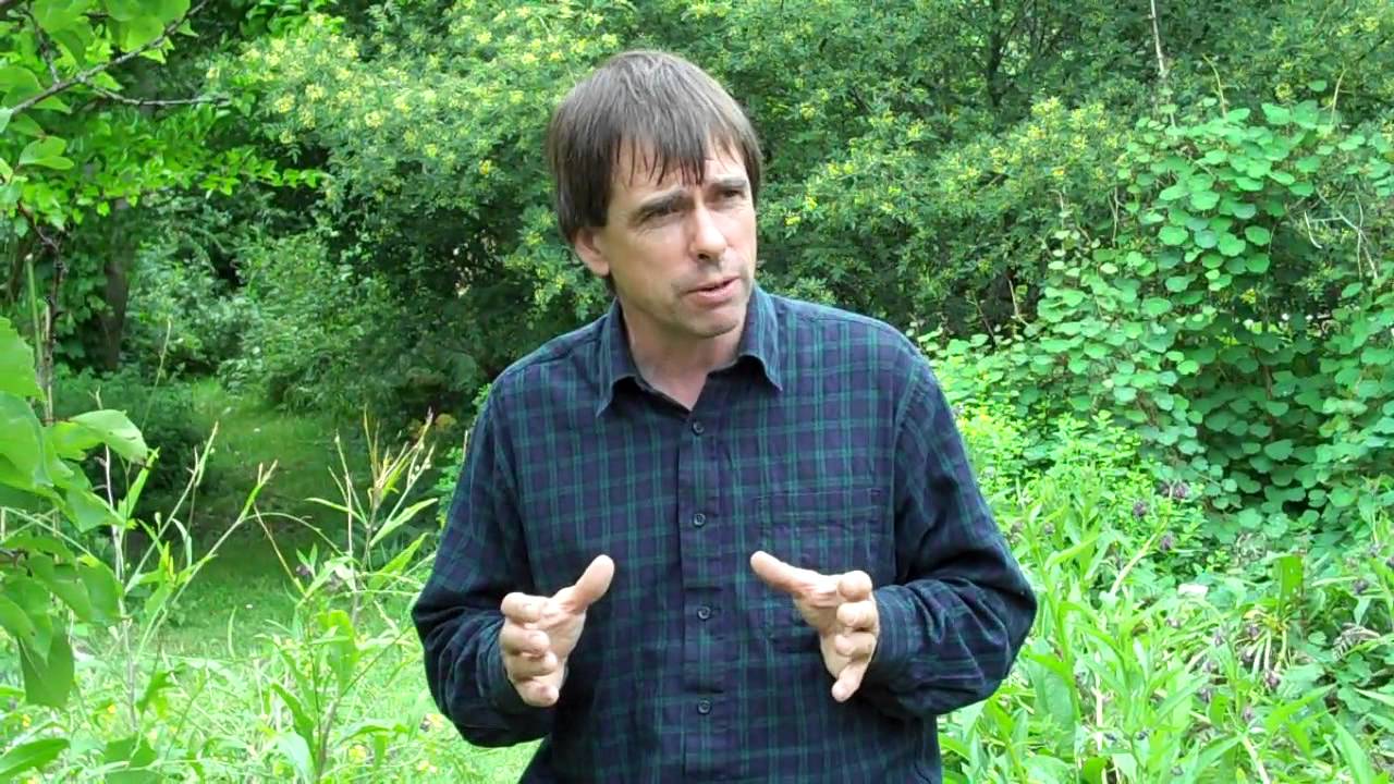 Martin Crawford's Forest Garden Part 1