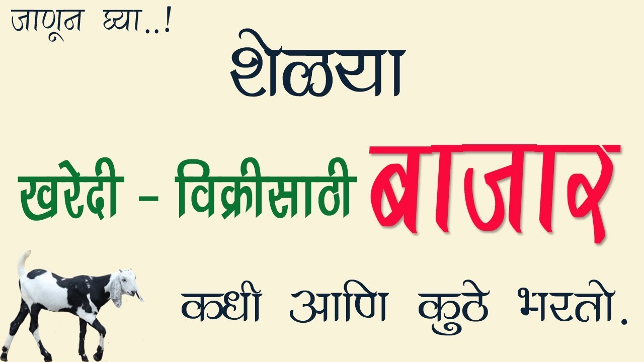 शेळ्यांचा बाजार कधी आणि कोठे भरतो / Sheli palan mahiti
