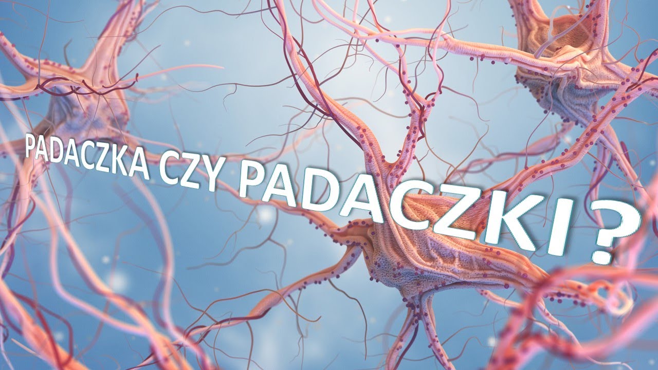 padaczka: mity i fakty