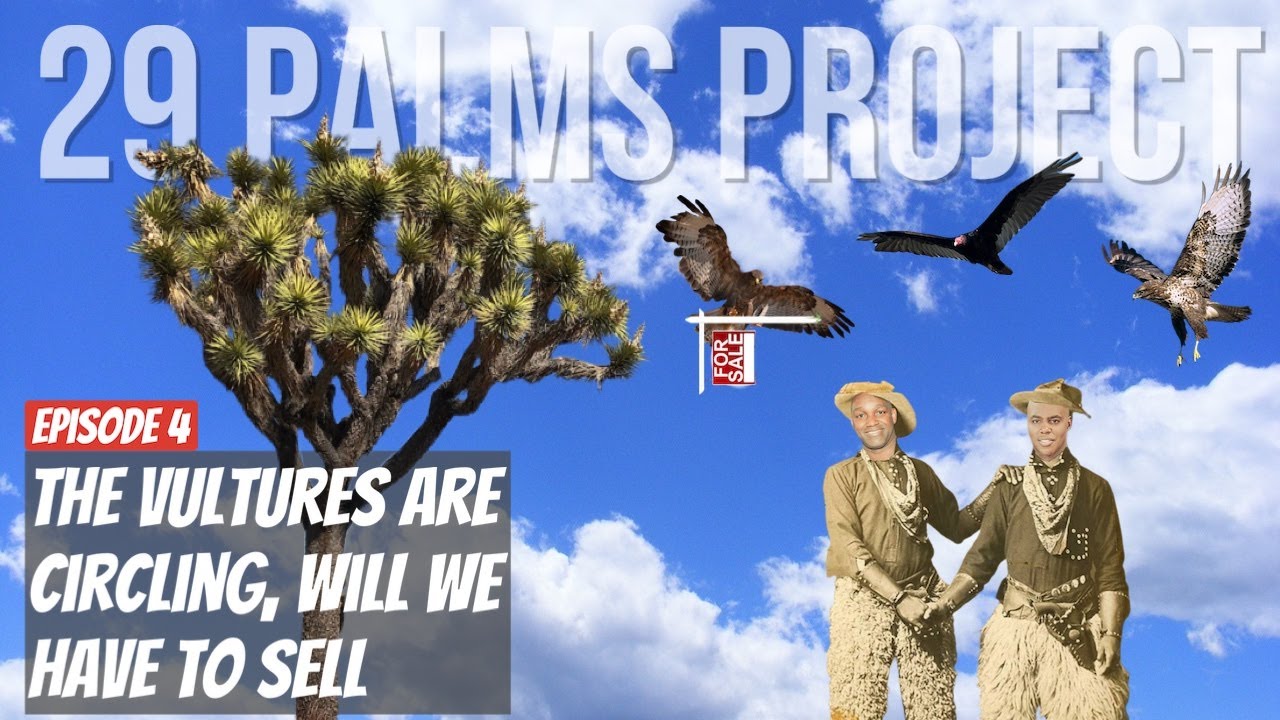 29 Palms Project Ep4: Watch This Before Buying and Renovating in Joshua Tree / Twentynine Palms