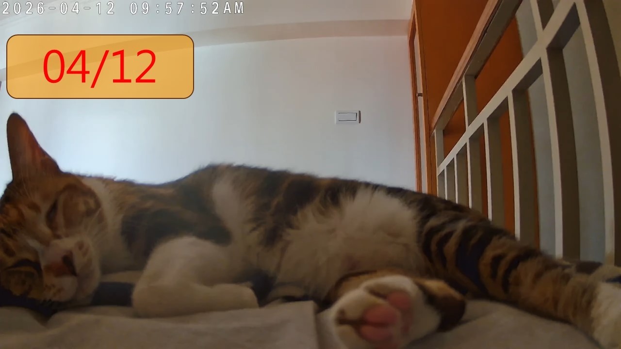 24小時直播精華｜0412