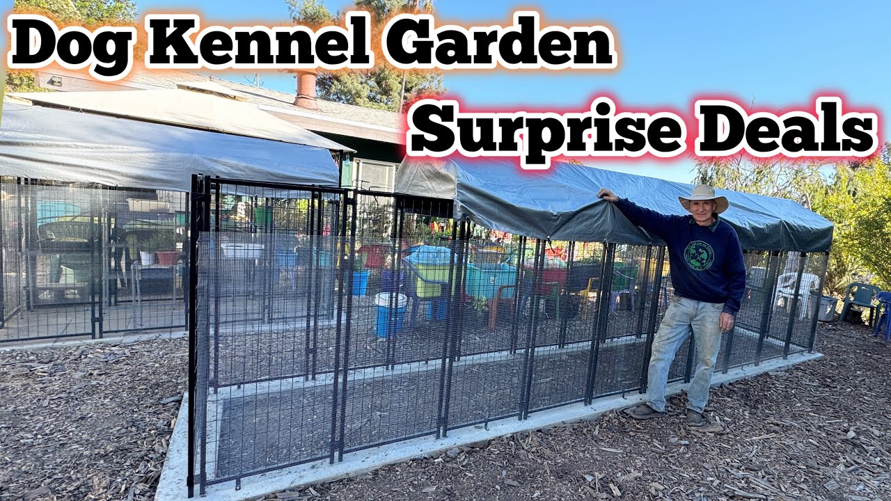 Dog Kennel Garden to Keep Out ALL Pests *BIG SALES NOW for Container Gardening Vegetables Seedlings