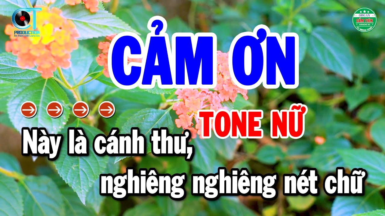 Karaoke Cảm Ơn Tone Nữ Nhạc Sống Chuẩn Nhất 2026 Hay | Cẩm Tiên Organ
