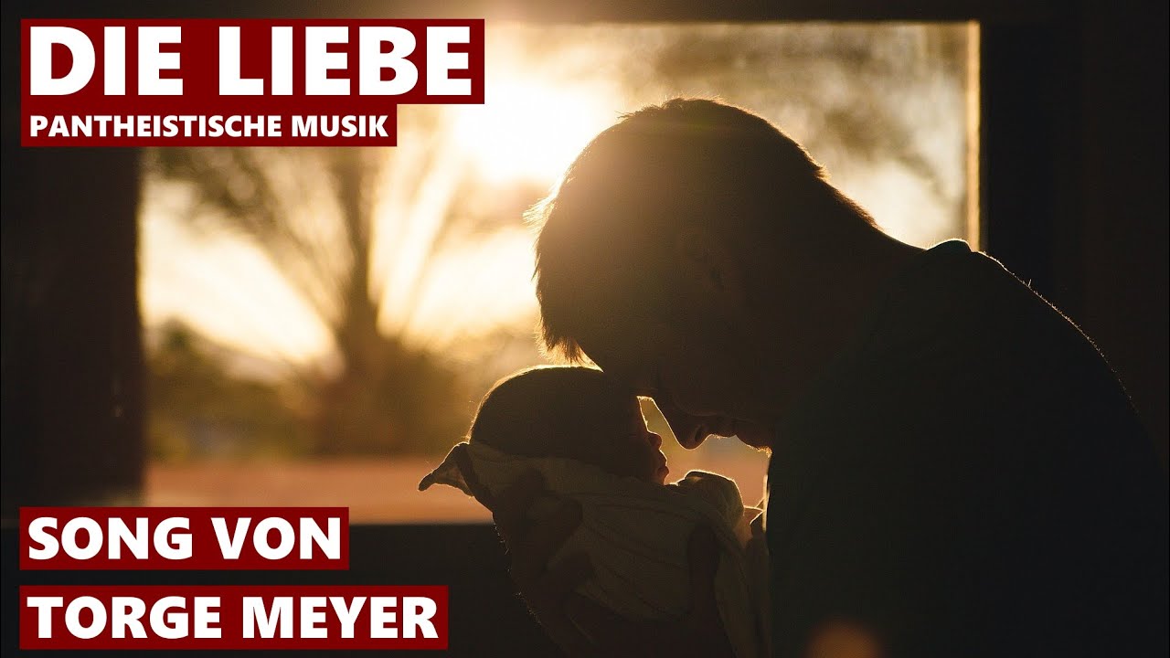 Die Liebe - Torge Meyer (Musikvideo)