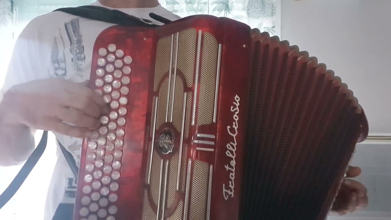 Maria Albertina - O Emigrante. Accordéon Cover