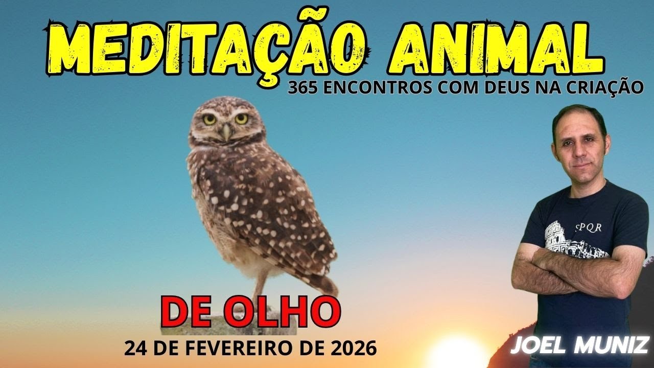 DE OLHO - 24 DE FEVEREIRO DE 2026 - MEDITAÇÃO ANIMAL