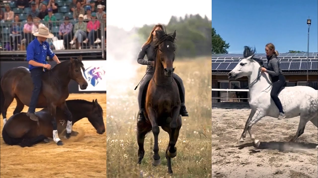 Liberty & Freeriding Compilation pt 10