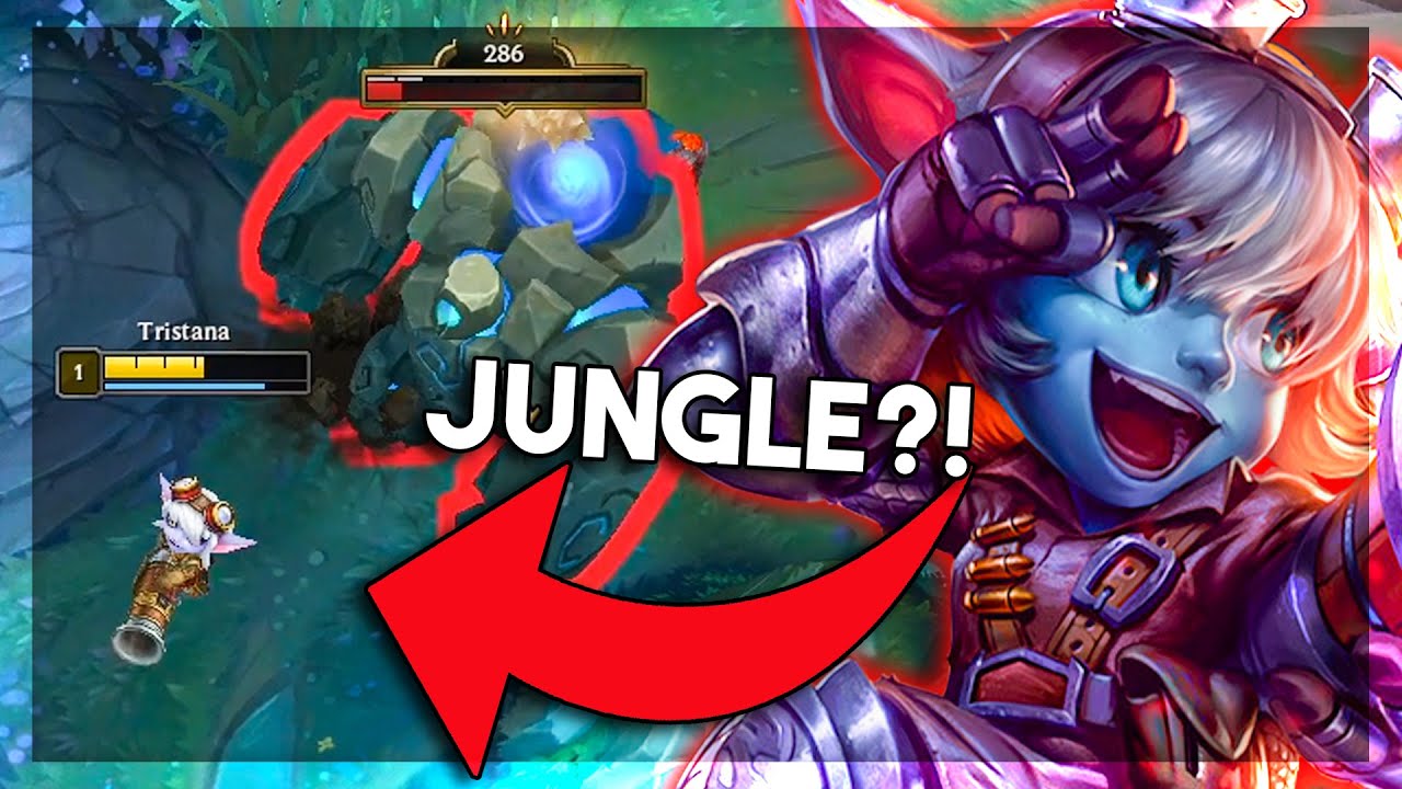 NU AU AVUT INCREDERE IN TRISTANA JUNGLE A MEA!