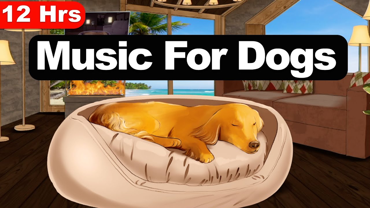 Relaxing Piano Music For Dogs (12 Hours)