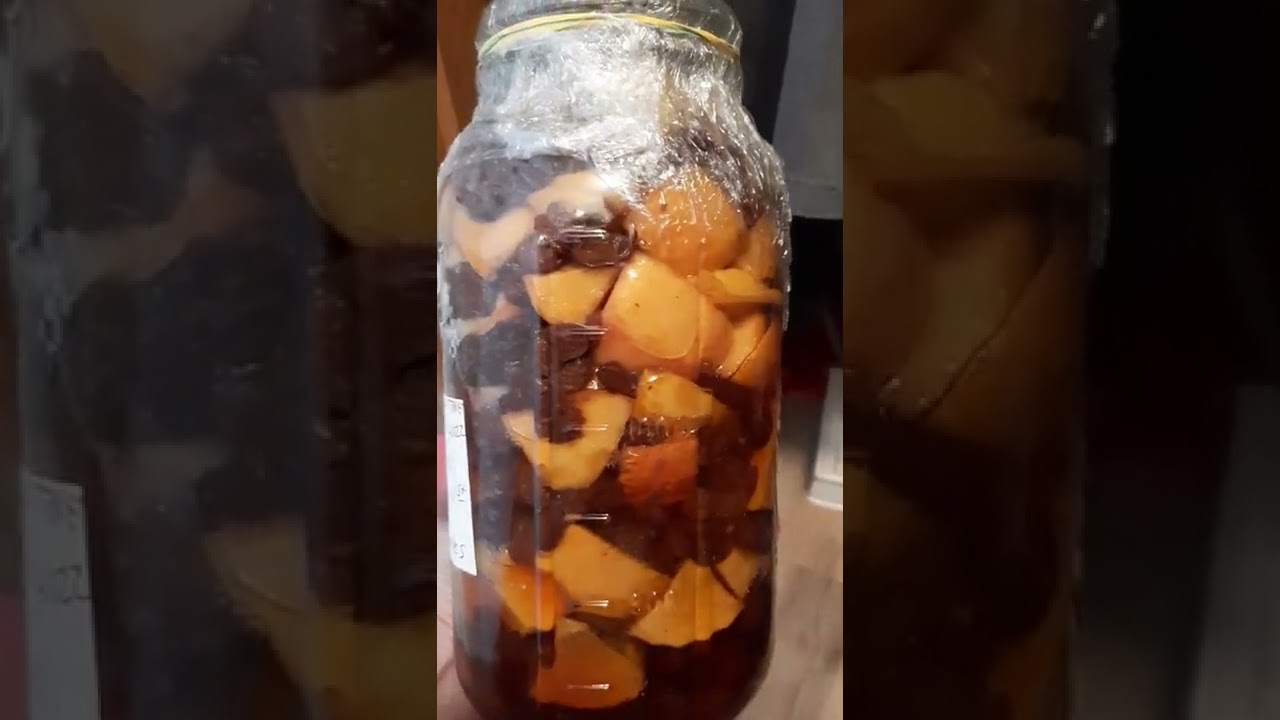 apple cordial during fermentation, following Doug and Stacy homesteading recipe.