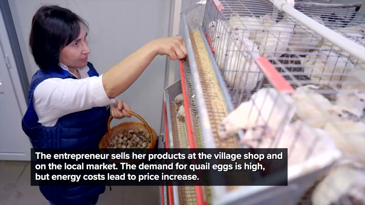 Oxana Tomoianu, quail farmer from Baurci-Moldoveni village, Cahul district