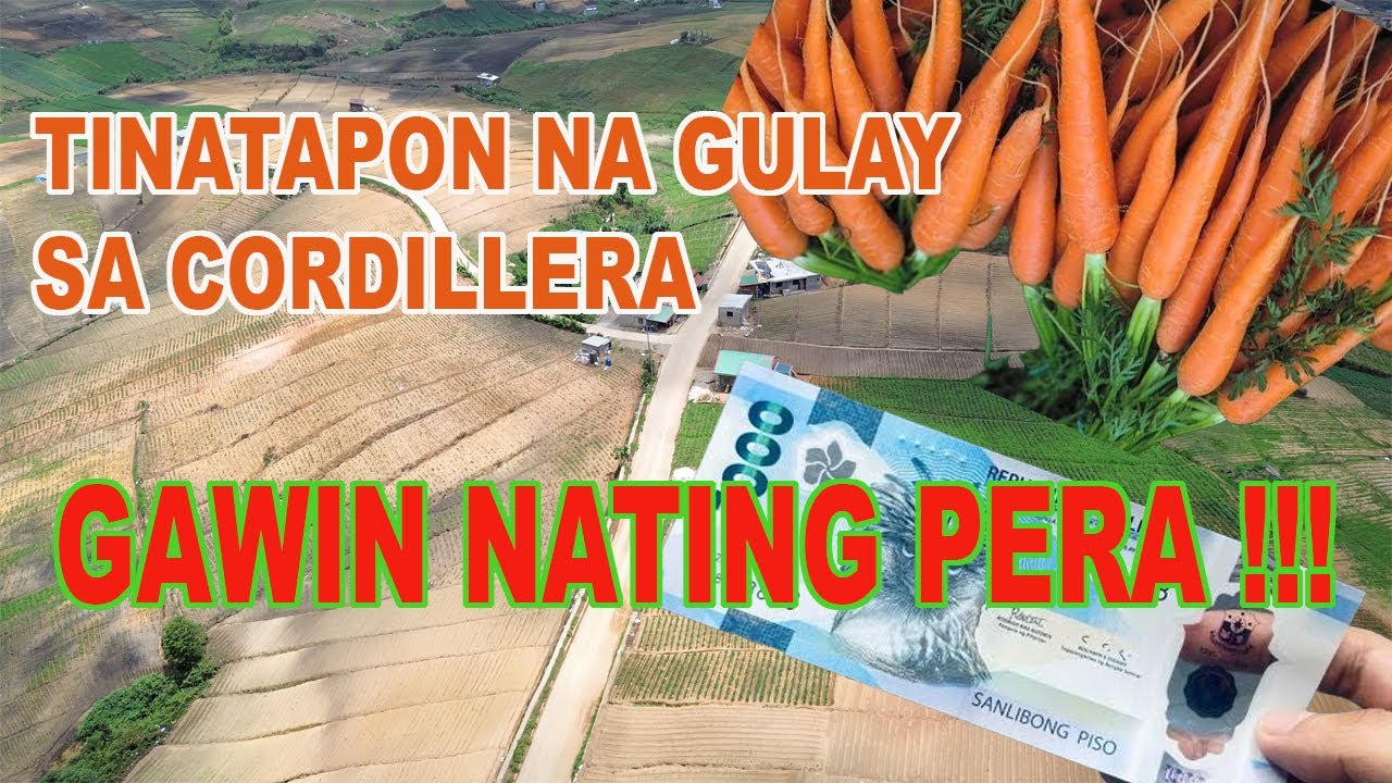 BAANGAN ESCAPADE / THE NORTHERN HOMES / MT. DATA / INUDEY FALLS / CAMPING / TRAVEL / FAZZIO / ADV