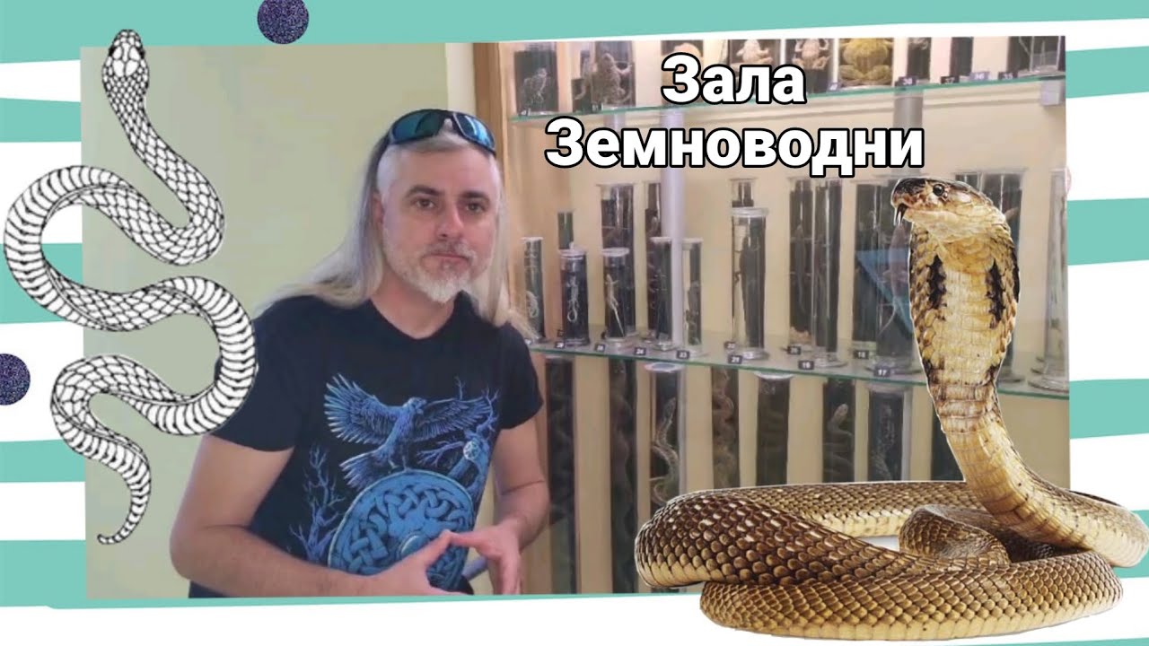 Природата във Фокуса || Зала Земноводни 🦎🐸