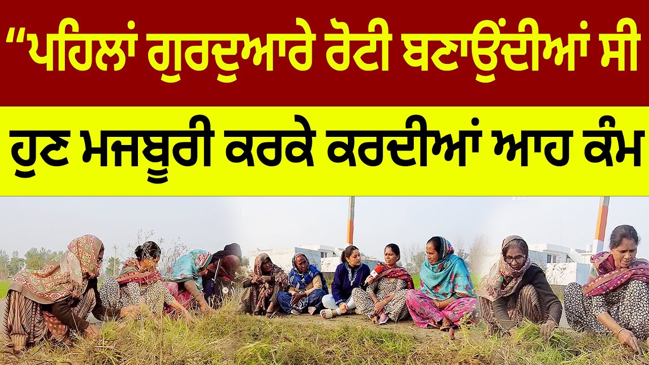 Prime Report (1189) || “ਪਹਿਲਾਂ ਗੁਰਦੁਆਰੇ ਰੋਟੀ ਬਣਾਉਂਦੀਆਂ ਸੀ, ਹੁਣ ਮਜਬੂਰੀ ਕਰਕੇ ਕਰਦੀਆਂ ਆਹ ਕੰਮ