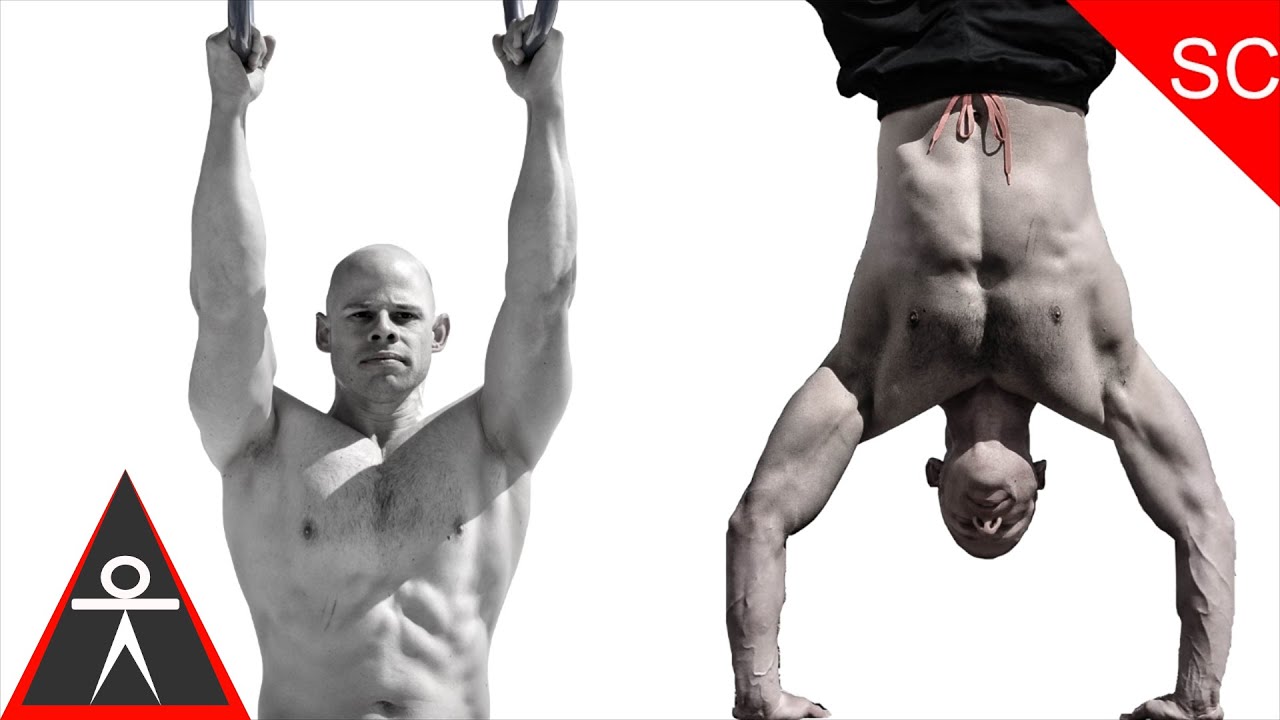 Bodyweight Shoulder, back and Bicep Workout