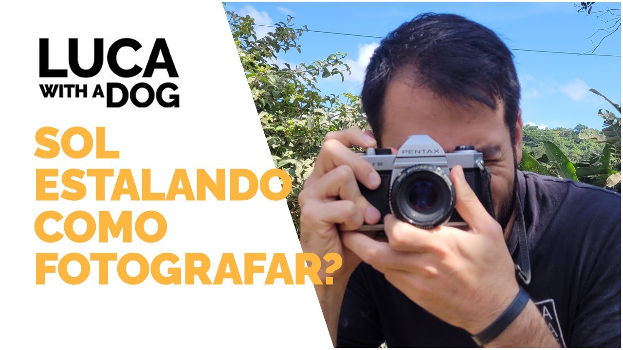 COM O SOL ESTALANDO, COMO FOTOGRAFAR ANIMAIS?