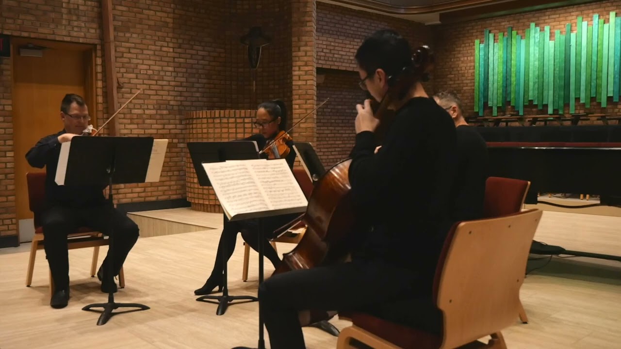 Schubert String Quartet No. 14 