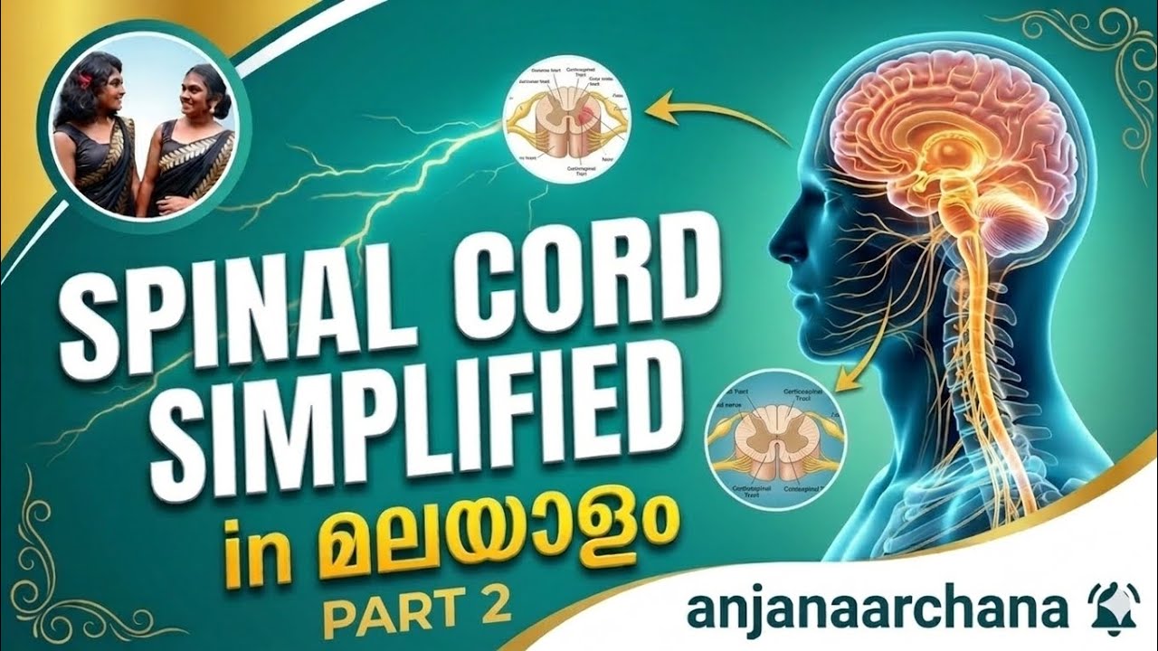 Spinal cord anatomy simplified🧠 | part 2 | in malayalam | @anjanaarchana #neuroanatomy 
