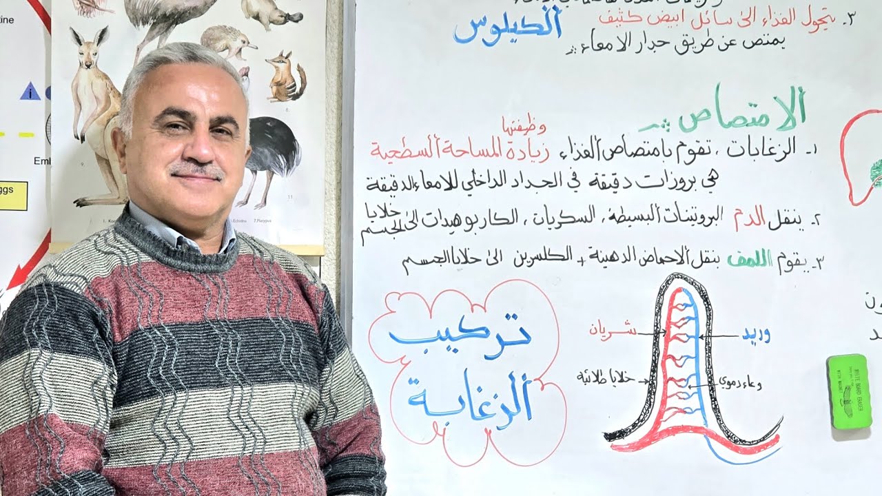 الهضم والامتصاص..والتمثيل الغذائي