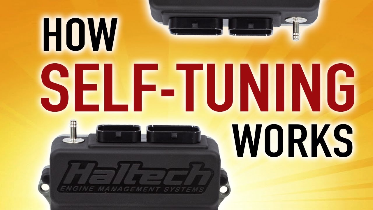 🛠 How Self Tuning Works: Short Term vs Long Term Fuel Trim | TECHNICALLY SPEAKING