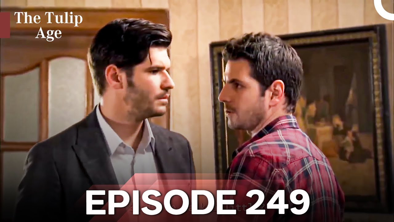 The Tulip Age Episode 249