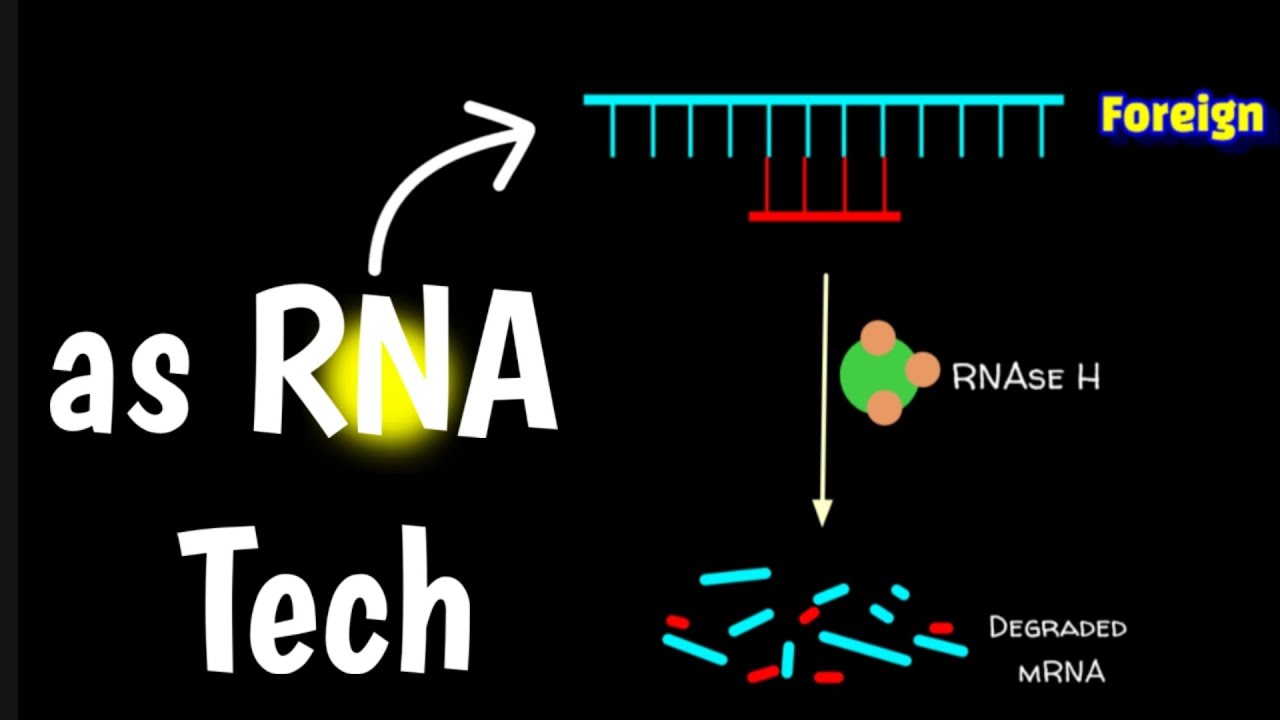 Anti-sense RNA Technology | asRNA Technology |