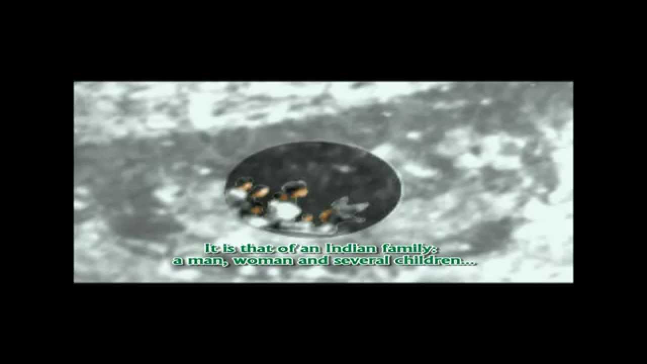 The Eyes of Our Lady of Guadalupe