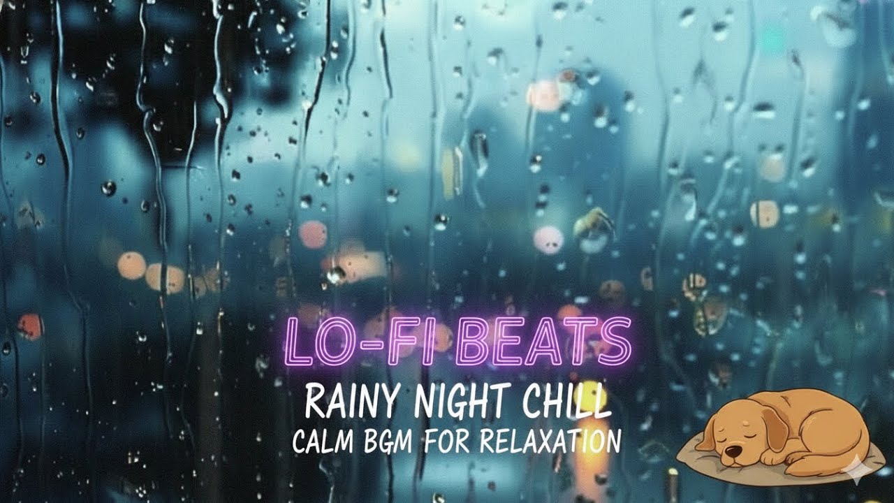 Rainy Night Lo-fi | Cozy Dog Background Music