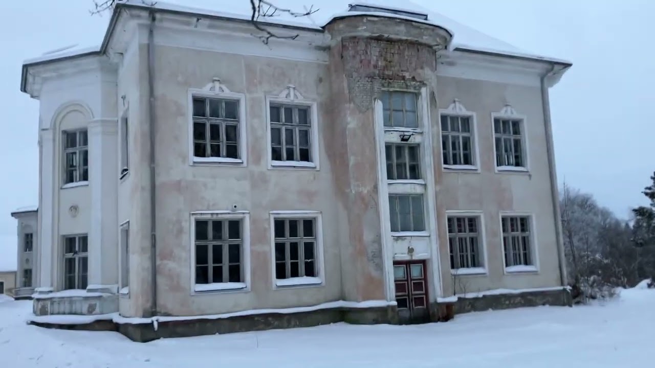 Calm Winter with Horses: Eating Hay in Snow and Walking Snowy Village Roads