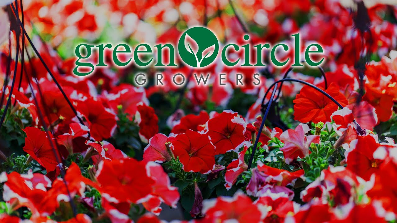 Green Circle Growers - Orchid Growers in Ohio