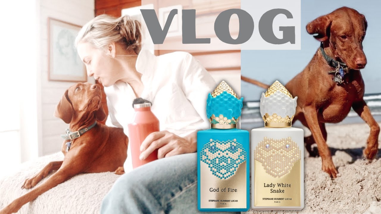 GOD OF FIRE, LADY WHITE SNAKE Review + Mini Vlog | TheTopNote #perfumereviews