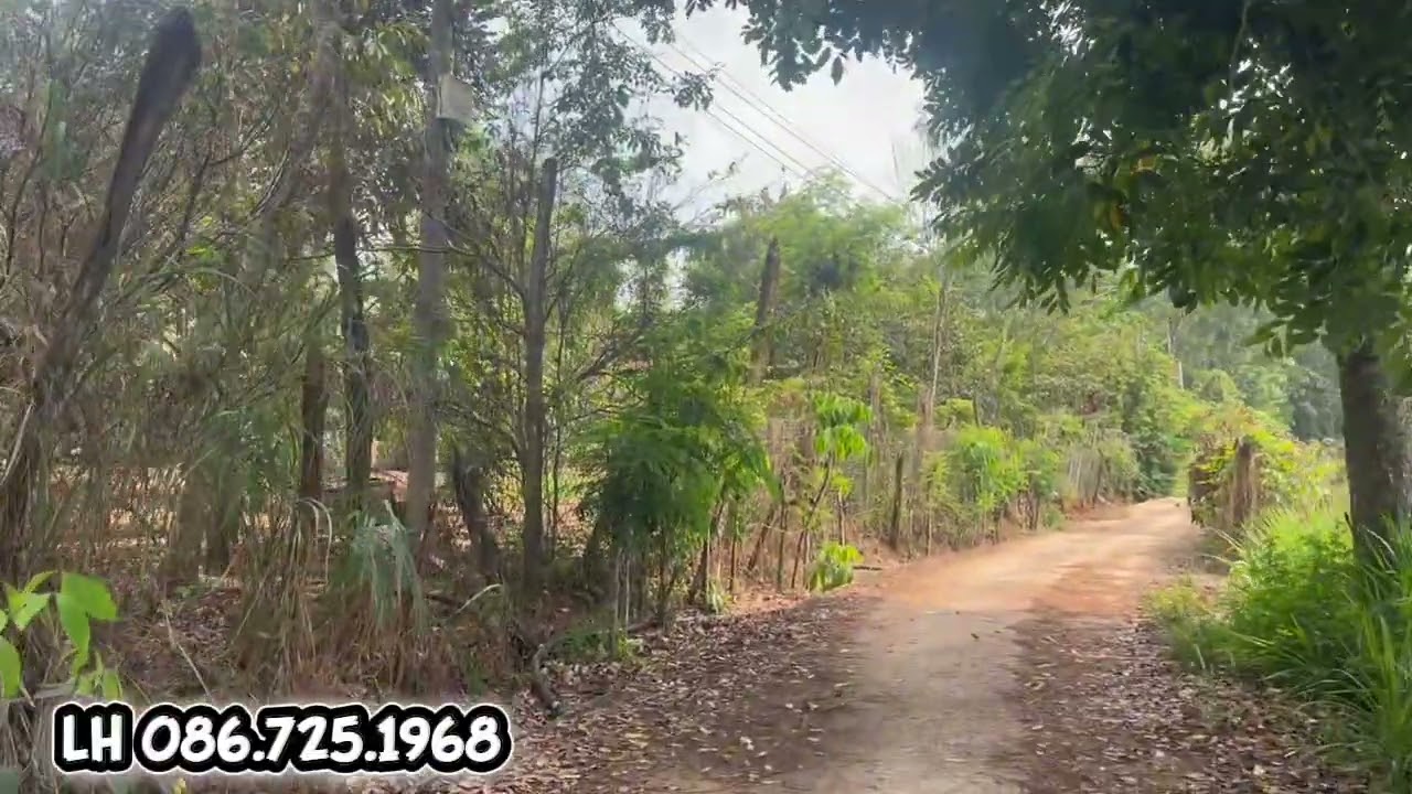 (16) #245TR | QL 13 2kmChợ ủy ban trường 3kmCách KCN Thanh Phú 1và2 4kmLH 0867251968 @bdsbinhphuoc