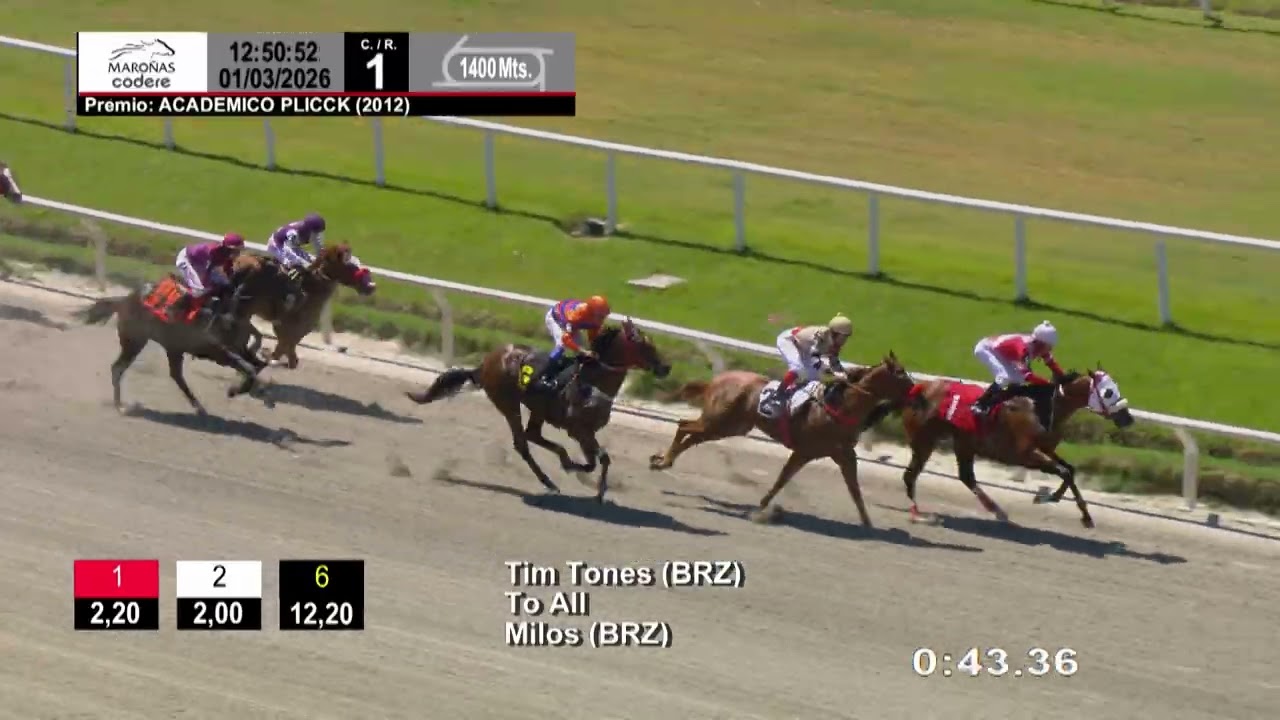 260301 c01 - TO ALL - HIPODROMO DE MAROÑAS