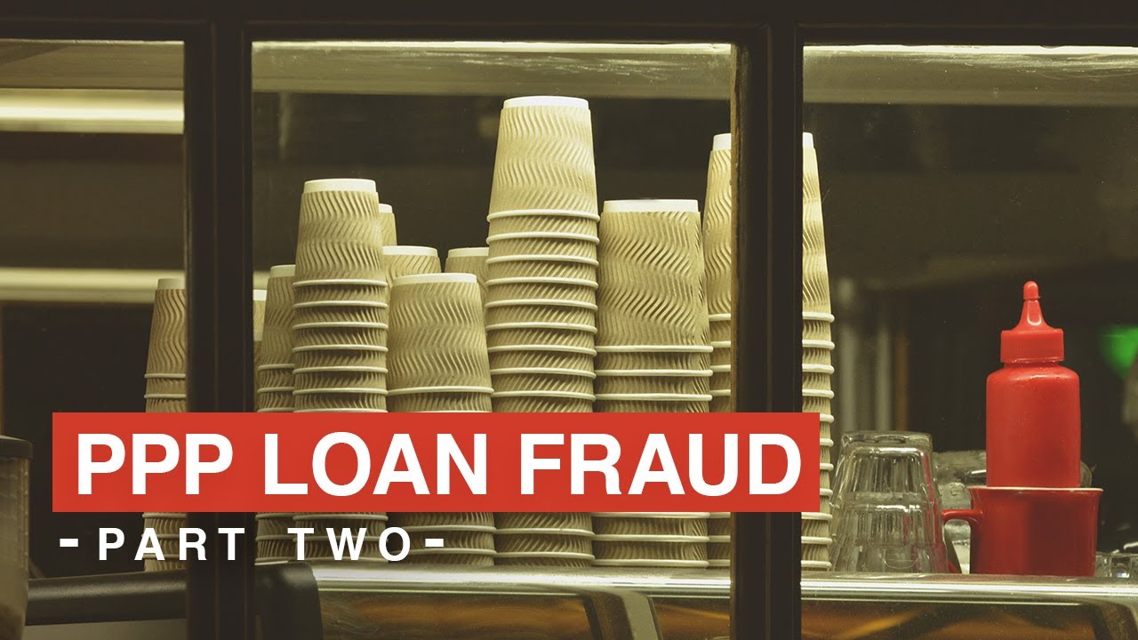 Paycheck Protection Program - PPP Loan - PPP Fraud - Part 2 | Amin Law