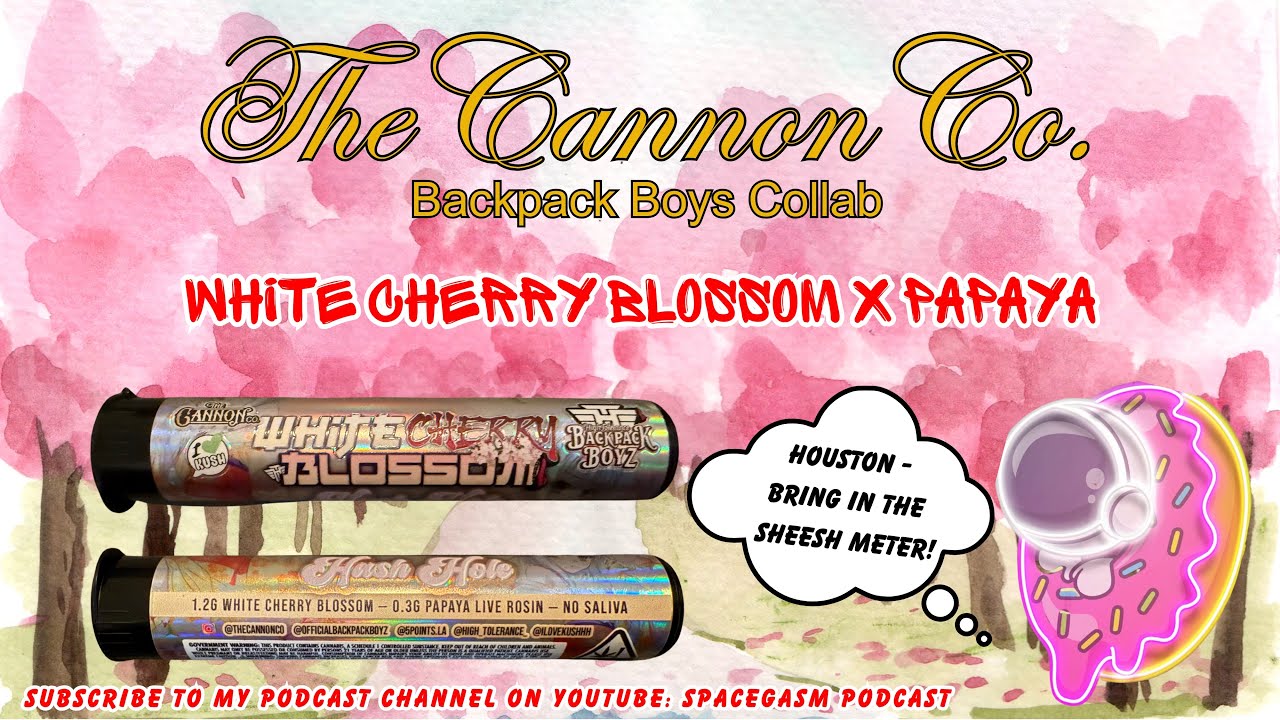 THE CANNON CO HASH HOLE REVIEW DAY #12: White Cherry Blossom (💨🍒🌸) Sheeeesh