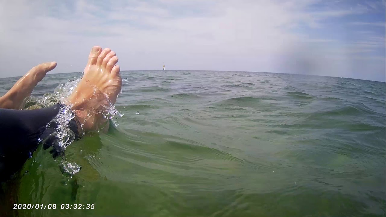 Big stingray at indented heads