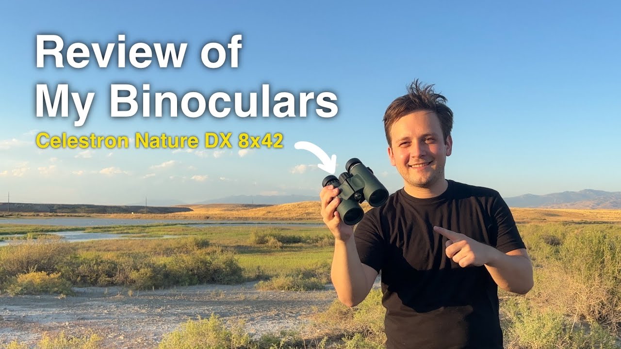 These Binoculars Got Me Started In Birding | Celestron Nature DX 8x42 Binoculars
