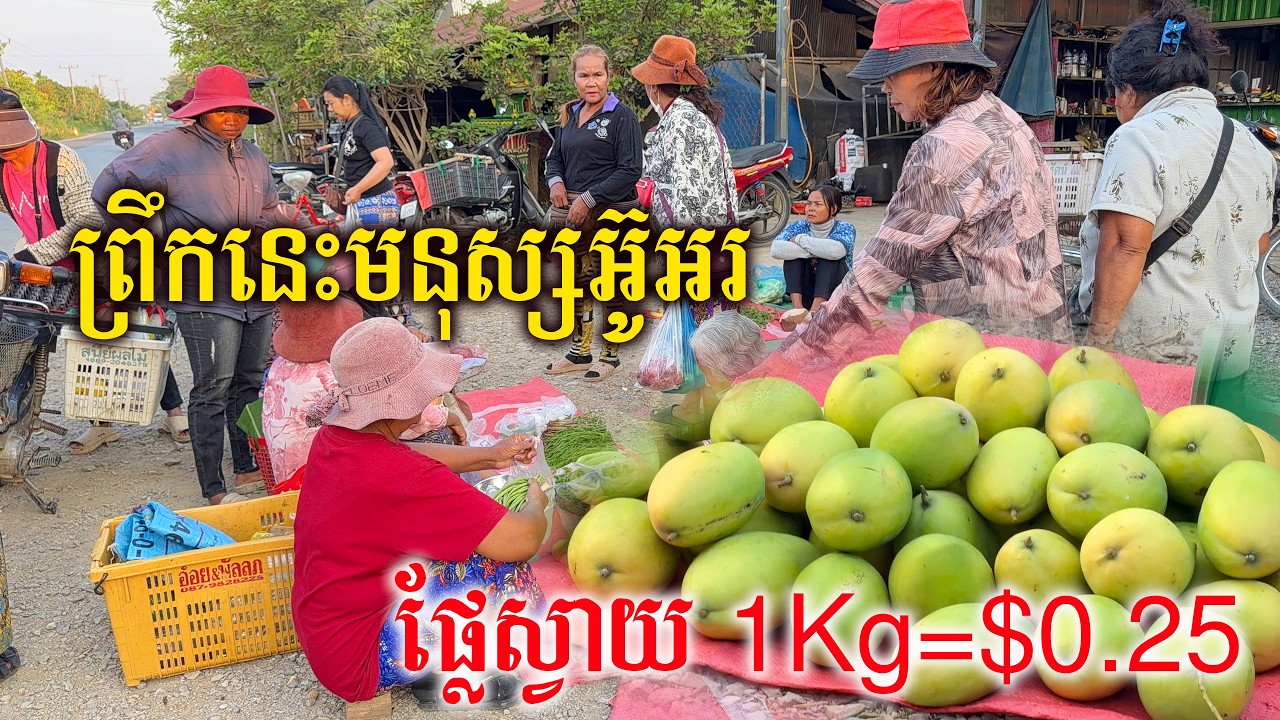 មនុស្សអ៊ូអរ ផ្សារអូរប្រាសាទ ស្វាយ១គីឡូ តម្លៃត្រឹមតែ១០០០រៀលទេ
