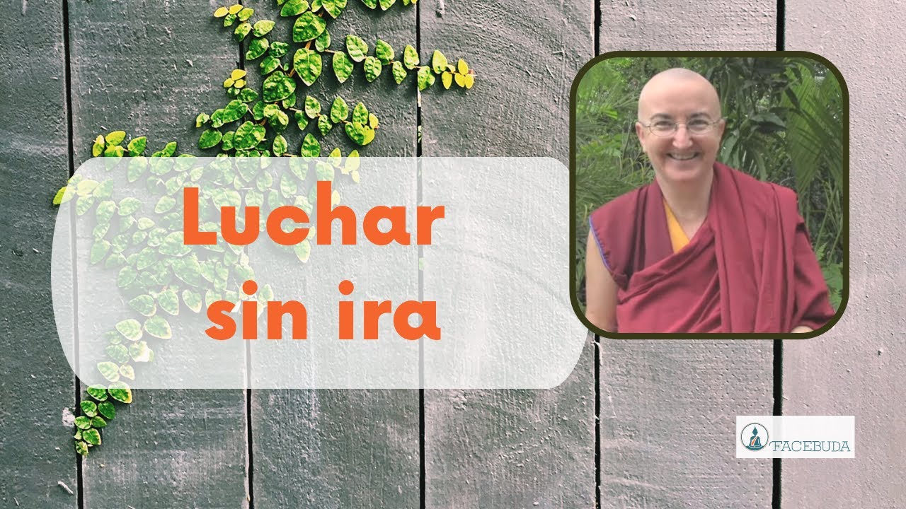 Luchar sin ira