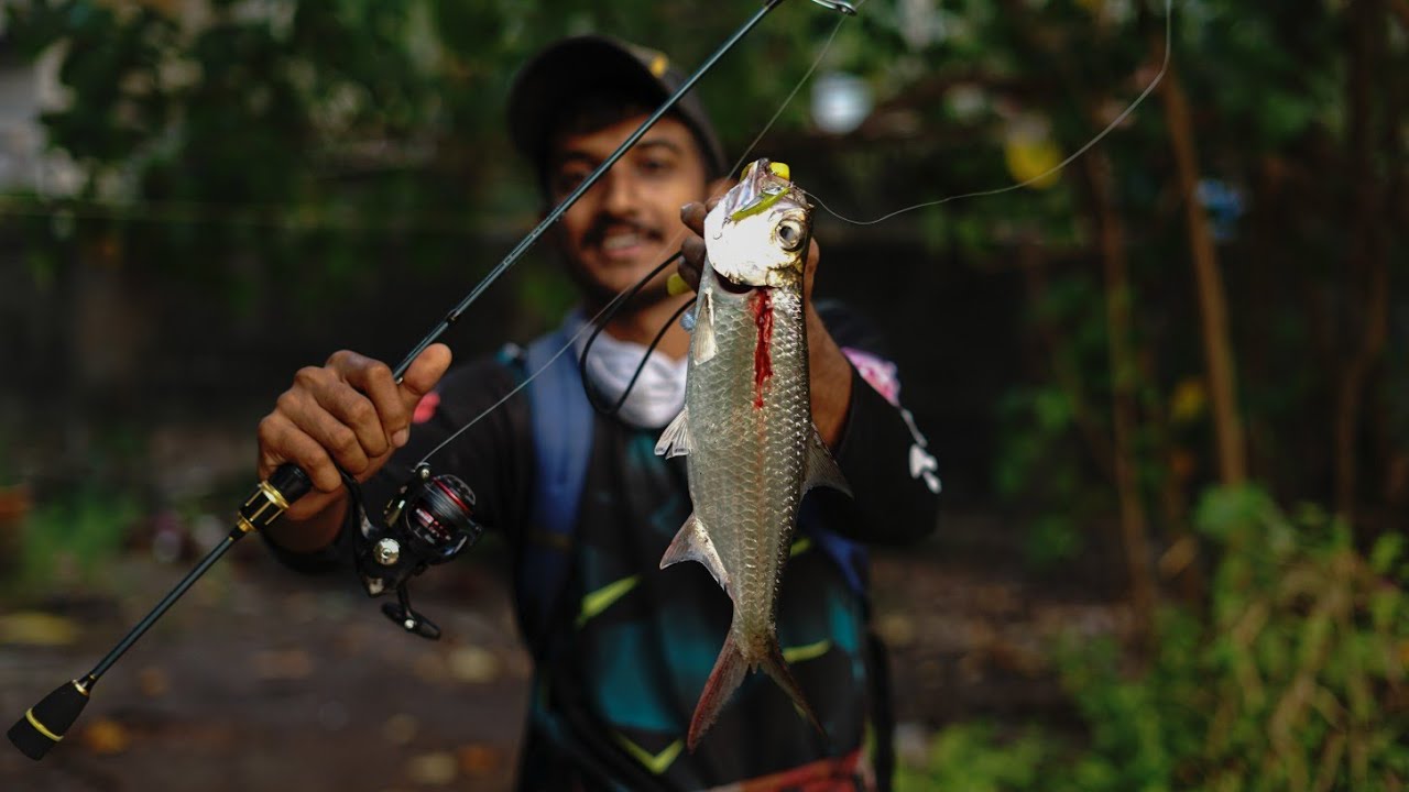 ഈ മീൻ ഇങ്ങനെയാണോ..❓️ എന്നെ ഇപ്പോൾ വലിച്ചു താഴെ ഇട്ടേനെ.. | Tarpon fishing | kerala village fishing |
