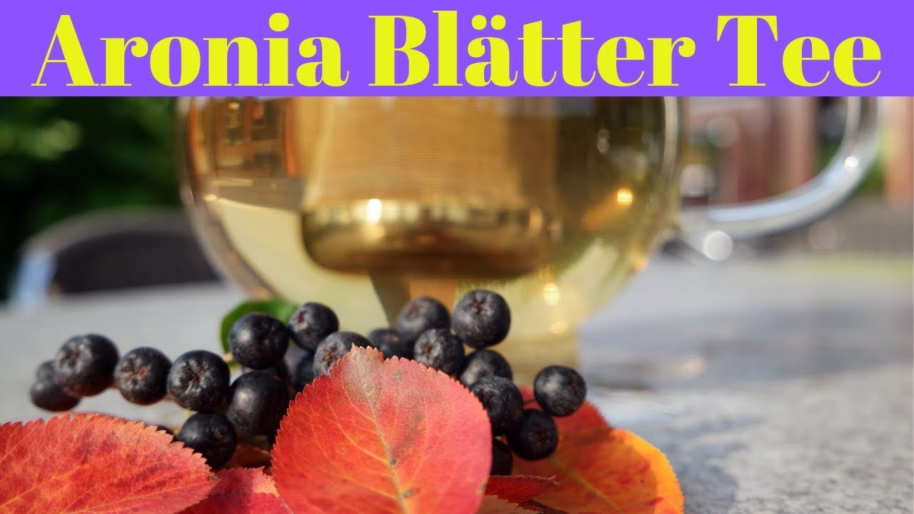 ☕️  Aronia Tee aus Aronia Blättern reich an Antioxidantien ✔️