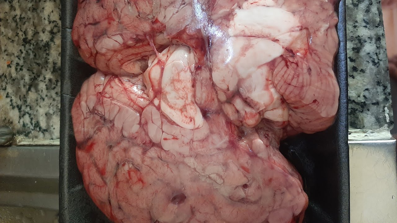 cow brain🧠🧠🧠🧠🧠🧠  #cooking😋😋😋😋