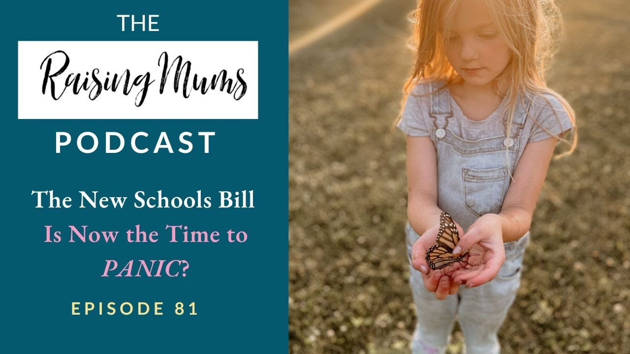 The New Schools Bill | Should You be Concerned?
