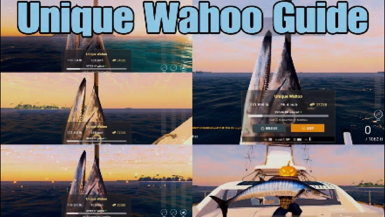 Unique Wahoo Guide Noomaa Kuda Maldives Fishing Planet