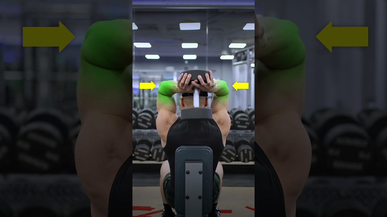 ✅ The PERFECT Overhead DB Tricep Extension