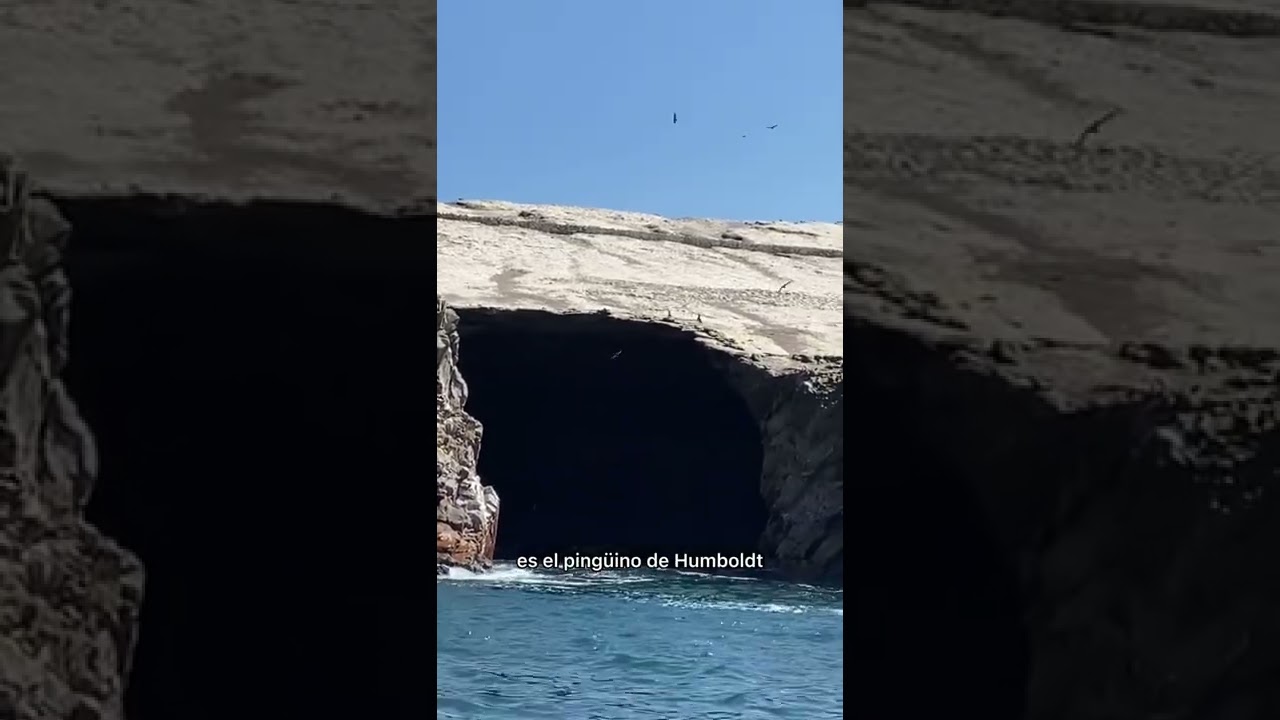 Tour a las Islas Ballestas en Paracas 2022 &iquest;c&oacute;mo es?
