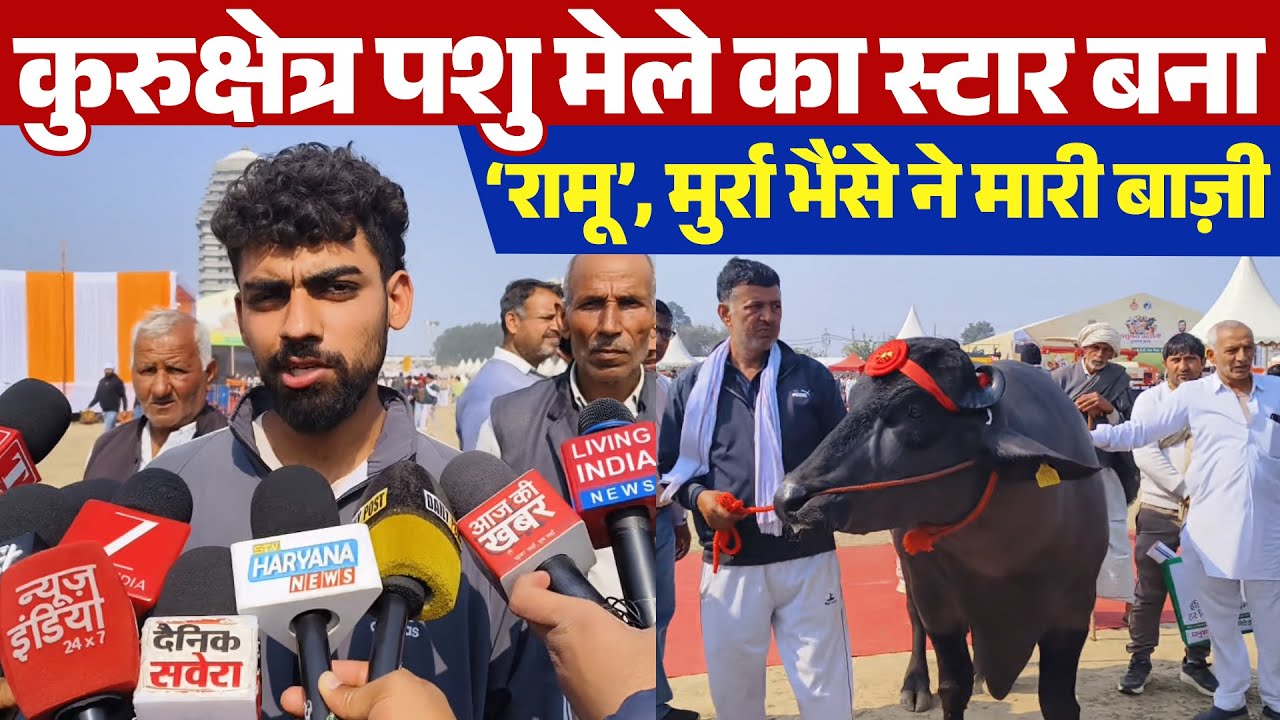 कुरुक्षेत्र पशु मेले का स्टार बना ‘रामू’, मुर्रा भैंसे ने मारी बाज़ी