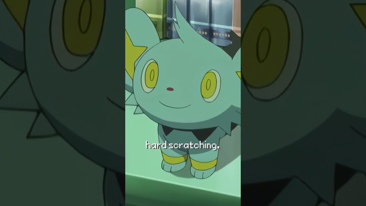 Caring For Your Pet Shinx #pokemon #shinx #pets